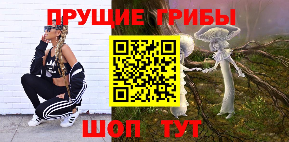 Зеленодольск  Псилоцибиновые грибы Psilocybe  Вход с VPN  Галлюциногенные грибы Cubensis 